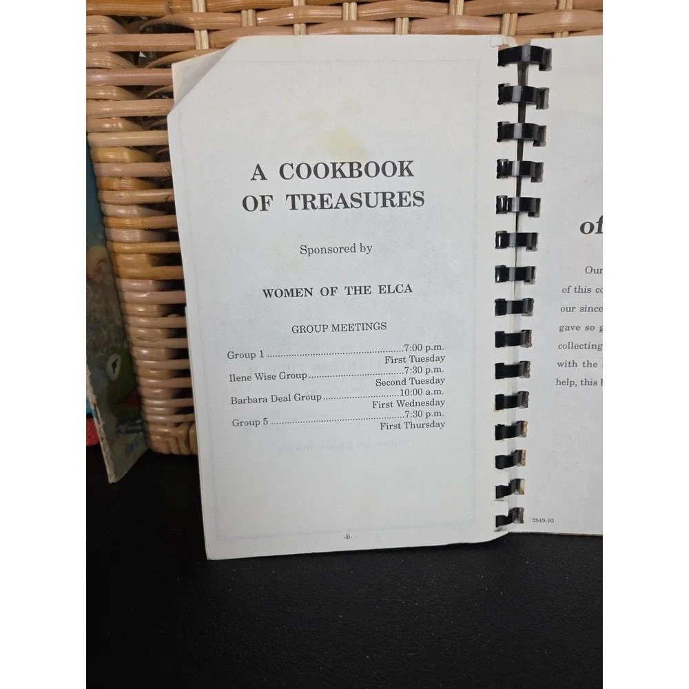 Grace Lutheran‎ Church Cookbook Salisbury, NC 1993 Local Vintage